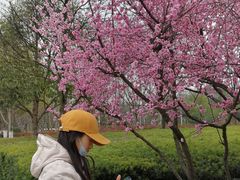 -白塘生态植物园