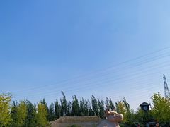 -永定河休闲森林公园