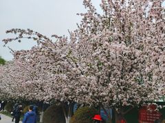 -元大都城垣遗址公园