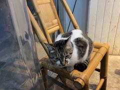 -铜瓢江湖兔火锅(水碾河社区店)