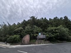 -江南天池