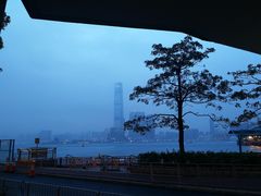 -兰芳园(上环店)