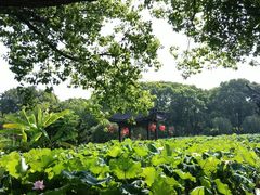 -丝绸小镇荻港古村