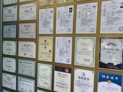 -博特宠物医院24h犬猫全科.骨科·异宠