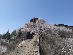 -蟠龙山长城景区