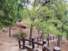 -北京十三陵国家森林公园蟒山景区