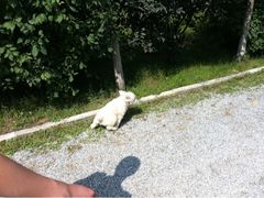 外景-意大利农场度假村