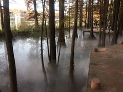 -东湖落雁景区