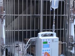 -爱佳宠物中心医院24H·CT·骨外科·猫专科(瑶海万达店)