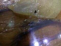 -孙家面馆(淮海第一城店)