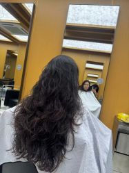 -东方麒麟·潘多拉SALON