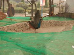 -陕西自然博物馆