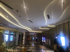 -百丽宫影城(CGS激光苏宁广场店)