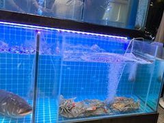 -老班长·小龙虾·鲜货烧烤大排档(金街美地店)