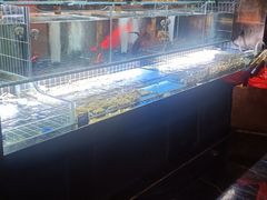 -苏淮景·苏闽融创菜·海鲜(原空港井河轩店)