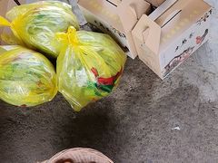 -马陆小张葡萄园农家乐