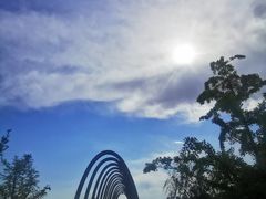 -大兴滨河森林公园