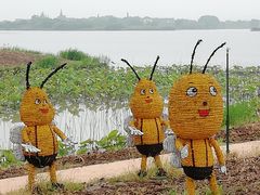 -长兴太湖图影湿地文化园