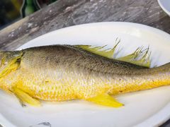 特色鱼饭-吴记富苑(朝阳店)