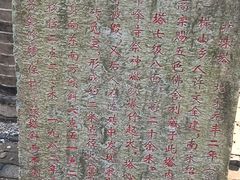 -上海佘山国家森林公园天马山园