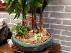 -老灶味道·本帮菜(昌平路店)