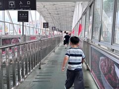 -武汉关码头(轮渡站)