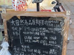 -大自然农场蔬菜草莓采摘园