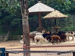 -大连森林动物园