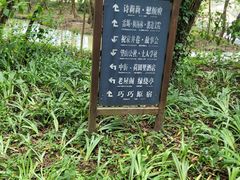 -西溪南古村落