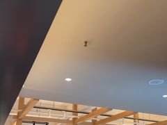 -杨氏青龙虾·羊蝎子(金盛路总店)