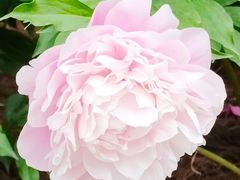 -长春公园(普阳街道)