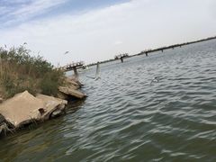 -包头南海湿地景区