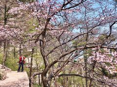 -崂山巨峰游览区