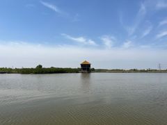 -宁波杭州湾国家湿地公园