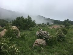 -白草畔自然风景区