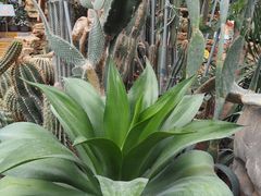 -国家植物园南园