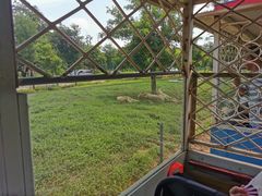 -秦皇岛野生动物园