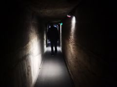 -徐州龟山景区