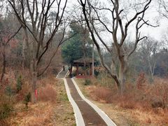 -青龙山国家森林公园