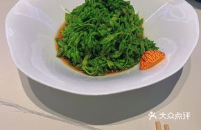 Sichuan Pepper Oil Drizzle on Night Orchid Flowers
