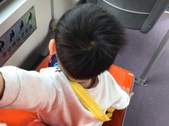-堤角公园