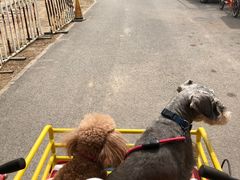 -永定河休闲森林公园