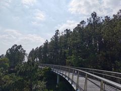 -仙岳公园