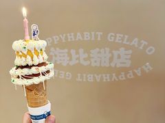 -海比甜店·意式手工冰激淋happy habit gelato