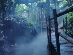 -青青世界