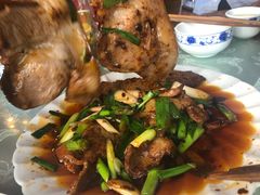 -代木儿回锅肉