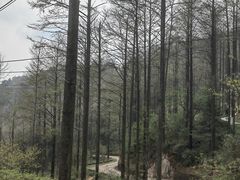 -莫干山风景区