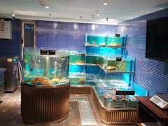 水产区-沈灶河豚宴·河豚融合餐厅(汉中路店)