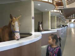 -中国马镇舞马世界主题乐园