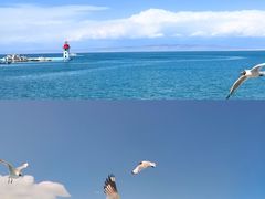 -青海湖国家重点风景名胜区